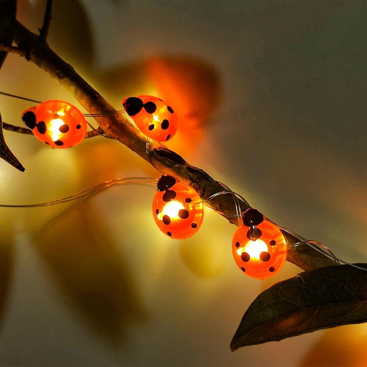 LED Lantaarns in de Vorm van Lieveheersbeestjes, 1M met 10 Rode LED's, Batterij Aangedreven Sfeerverlichting voor Tuin, Feesten en Decoratie binnen en buiten