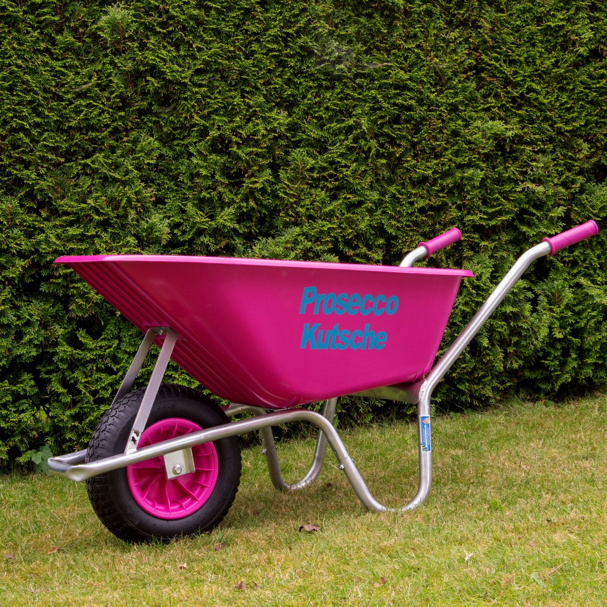 Kruiwagen Prosecco kruiwagen PP 100 L 250 kg Tuinkruiwagen Kruiwagen roze