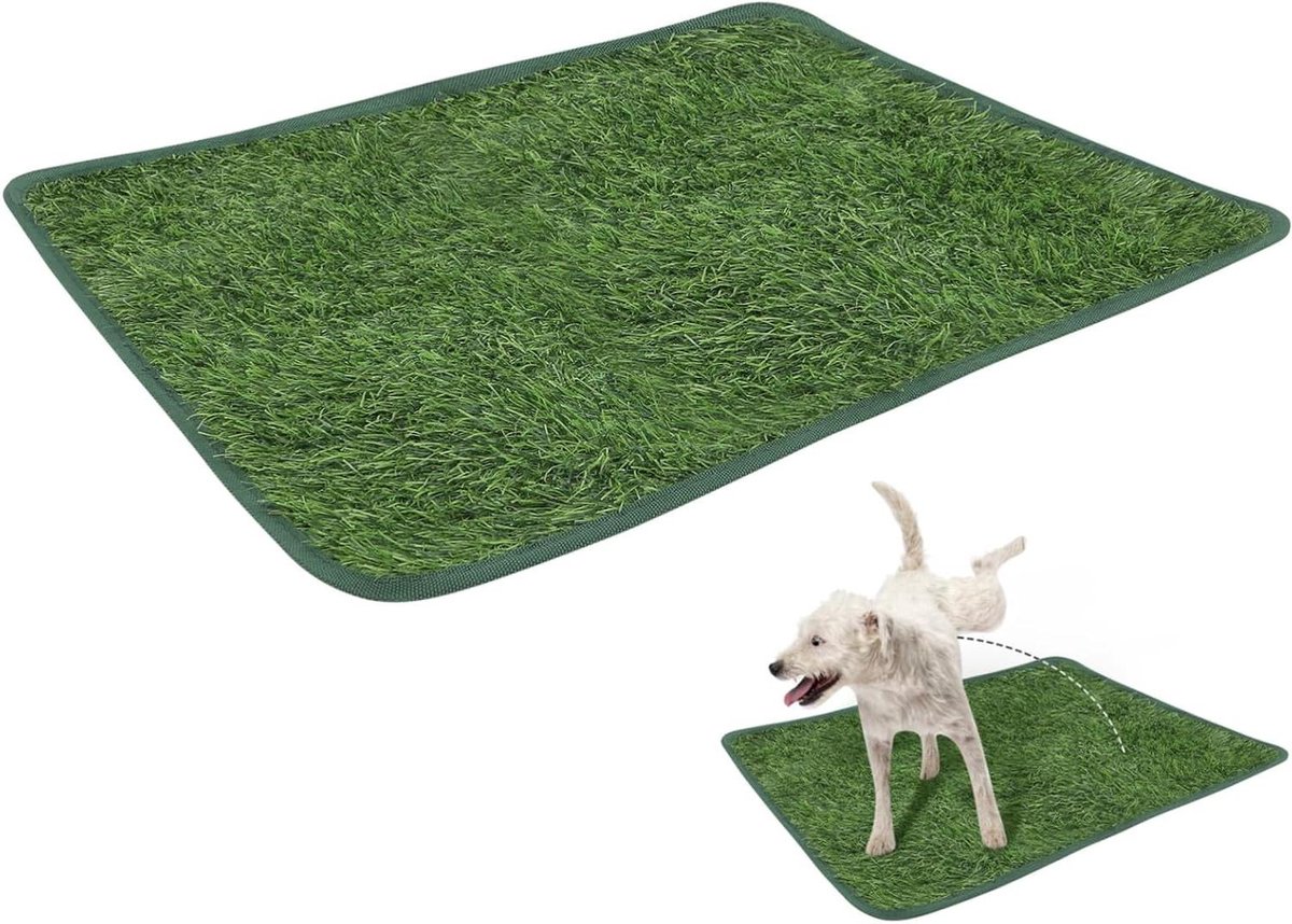 Kunstgras Hondenmat - Speelgras Puppy - Huisdier Training - Waterabsorberend Geurvrij - 58.5 x 46 cm - Groen