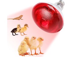 Verwarmingslamp voor Reptielen, 250 W, E27, Infrarood Lamp voor Schildpadden en Hamsters