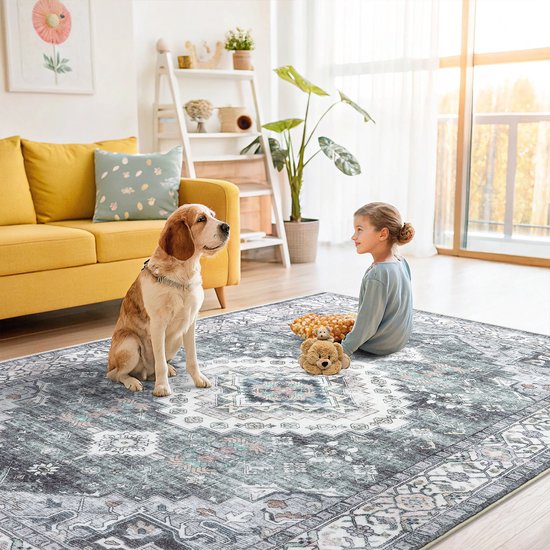 Meisje en hond zitten op een grijs vloerkleed met traditioneel patroon in een woonkamer.