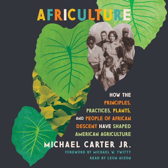 Africulture - cover
