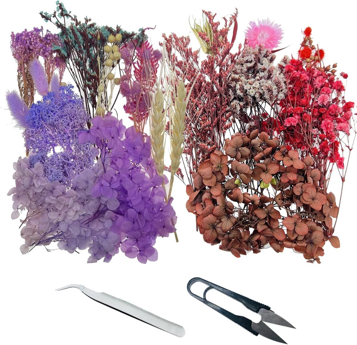 2 Dozen Gedroogde Bloemen voor Hars, Creatieve Knutselprojecten, Natuurlijke Decoratie met Scharen en Pincet