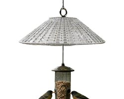 Geluidswand Knaagdieren - Beschermkap Vogelhuis - Vogels Voeren - Waterafstotende Barrière - 30 x 30 cm - Transparant