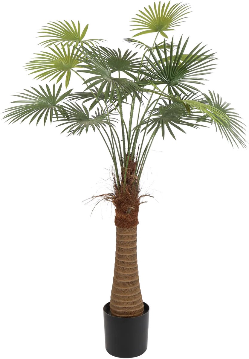 Kunstpalm Kunst Waaierpalm Belize | 125cm - Namaak waaierpalm belize - Kunstplanten voor binnen - Kunstplant waaierpalm Belize Donkergroen