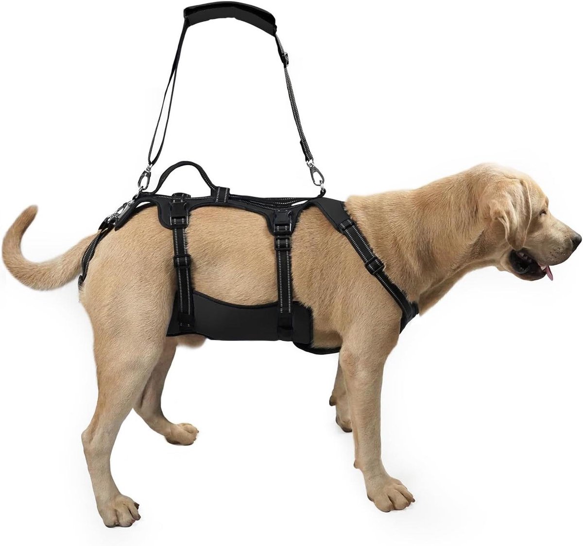 Hondenlift Tuig - Ondersteunend Vest - Hulp bij Lopen - Volledig Lichaamsondersteuning - Maat M - Zwart