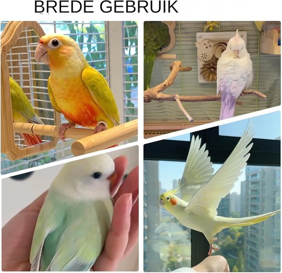 Vogel Draaispeelgoed,Interactief Windmolenspeelgoed Voor