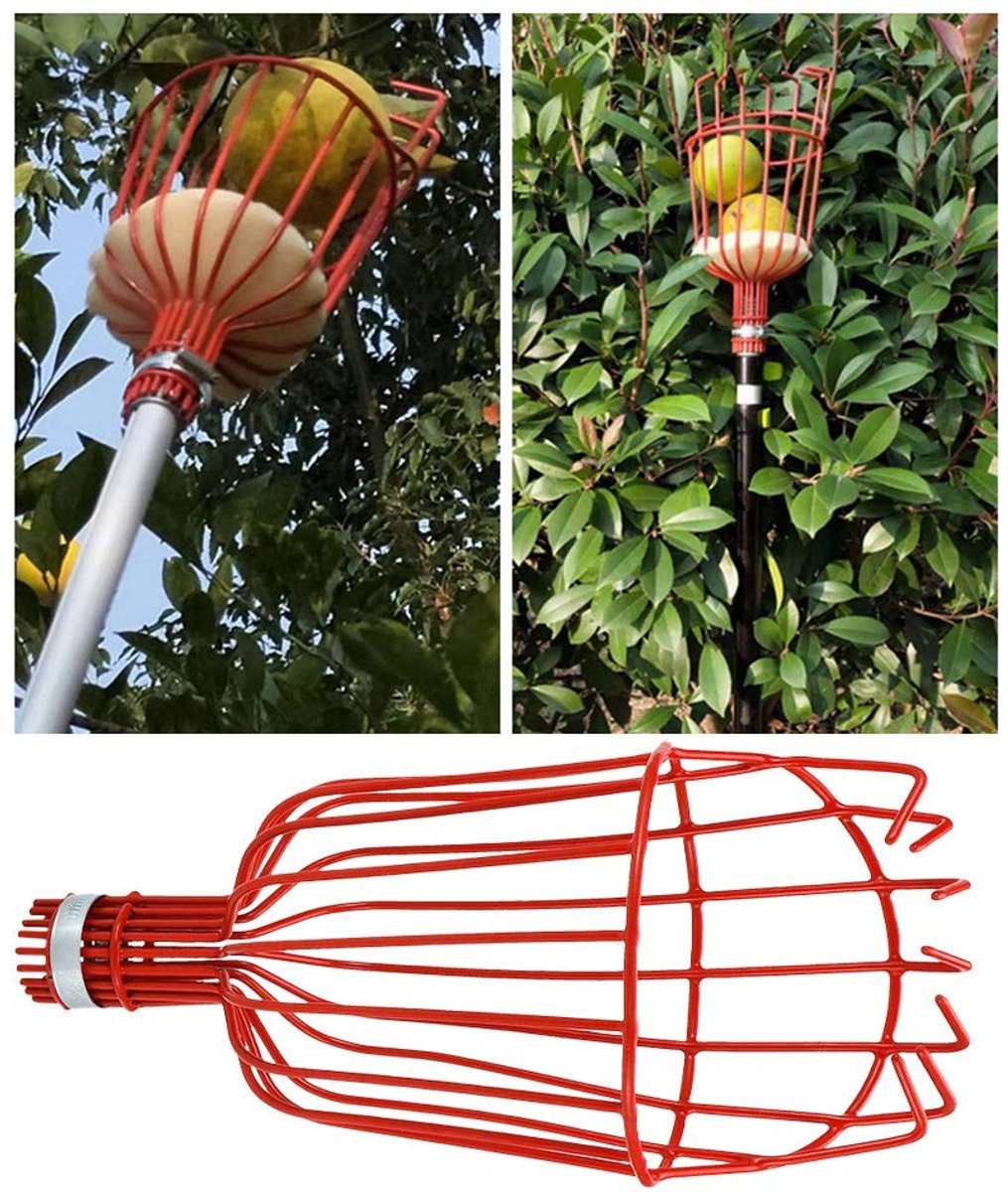 MTTproducts - Fruitplukapparatuur - Professionele fruitplukker - Multifunctioneel - Geschikt voor avocado en peer - Handig oogsten - Lichtgewicht ontwerp