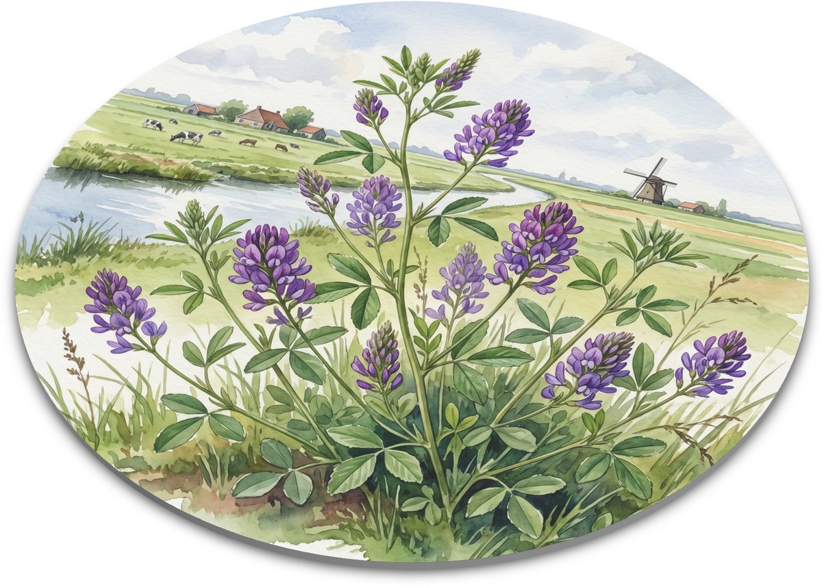 Ronde Muismat - Luzerne Medicago sativa in Nederlandse Polder - Aquarel Bloemen en Hollands Landschap met Windmolen en Koeien - Mousepad Kantoor - Diameter 22 cm