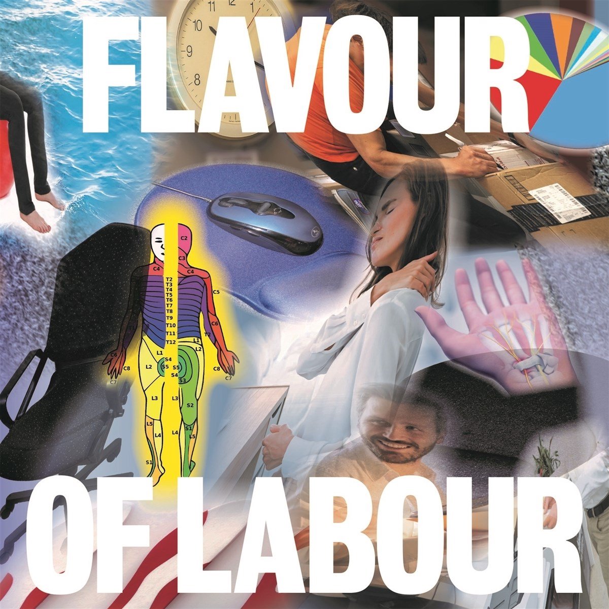 Public Body - Flavour Of Labour (LP)