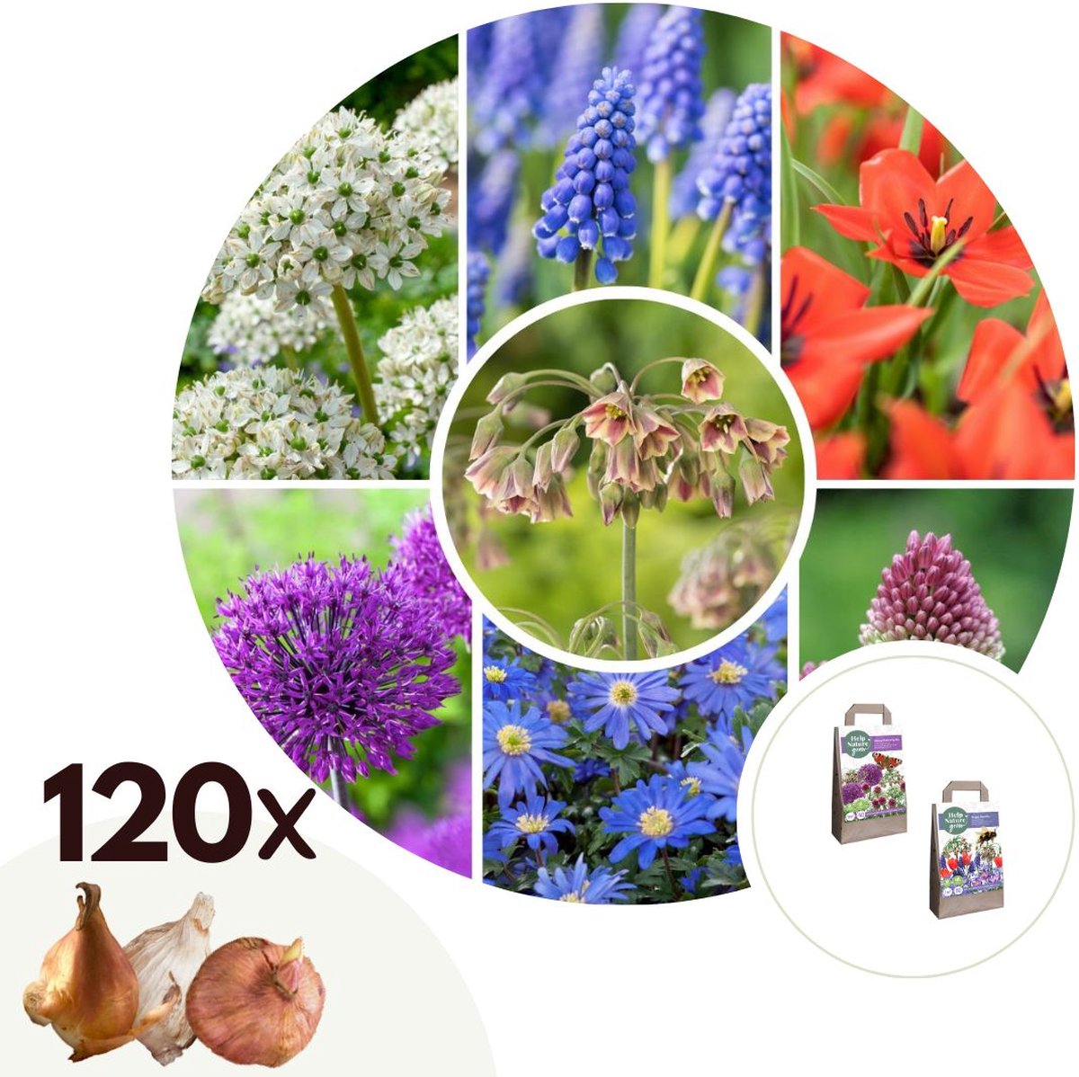 Plant in Box - Happy Bee & Butterfly Mix - Bloembollen x120 - Aantrekkelijk voor Bijen & Vlinders - Bloembollen voor Tuin, Terras en Balkon