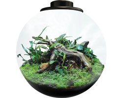 BIOART Bowl 225 Zwart 5,1 liter LED nano garden plantenterrarium