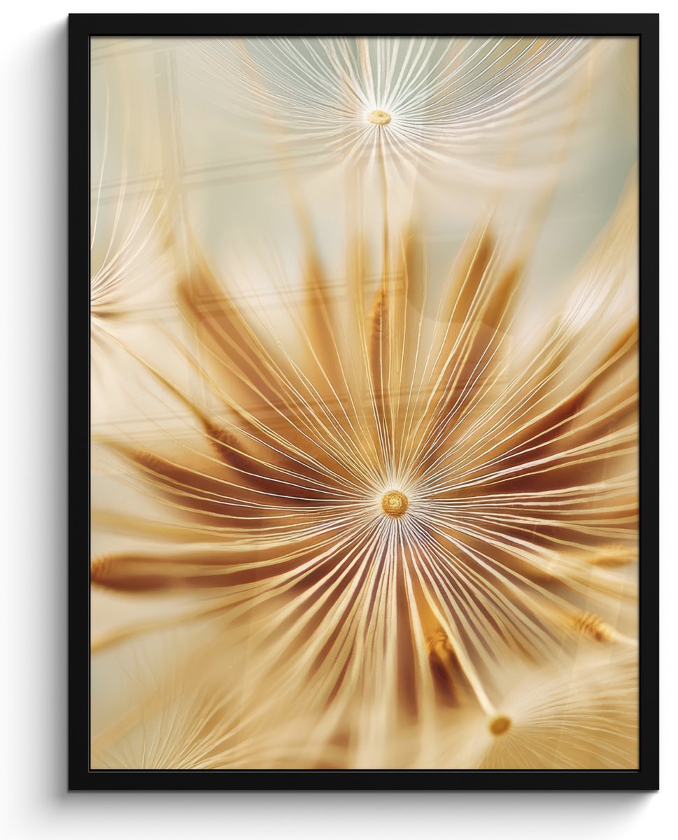 FrameYourWall Poster in lijst - Fotolijst 50x70 cm - Posters - Paardenbloem - Beige - Abstract - Modern - Natuur - Posterlijst zwart - Decoratie - Wanddecoratie woonkamer - Muurdecoratie slaapkamer Paardenbloem - Abstract