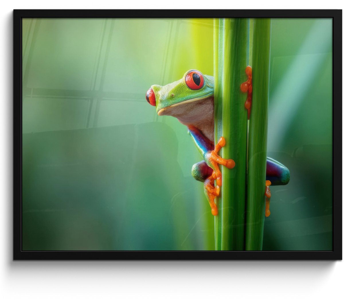FrameYourWall Poster in lijst - Fotolijst 70x50 cm - Posters - Groene kikker - Nieuwsgierig - Gras - Posterlijst zwart - Decoratie - Wanddecoratie woonkamer - Muurdecoratie slaapkamer Kikker - Gras