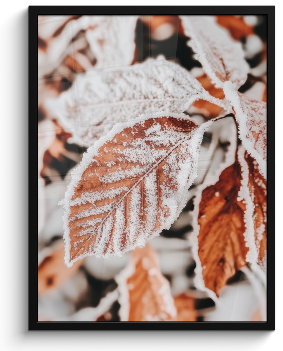 FrameYourWall Poster in lijst - Fotolijst 50x70 cm - Posters - Bladeren - IJs - Winter - Natuur - Posterlijst zwart - Decoratie - Wanddecoratie woonkamer - Muurdecoratie slaapkamer