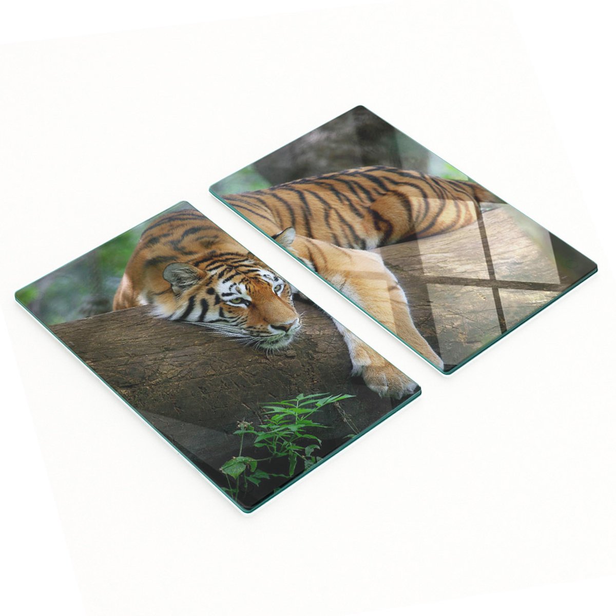 Multifunctionele decoratieve glazen borden Tijger in een boom 2x30x52 cm