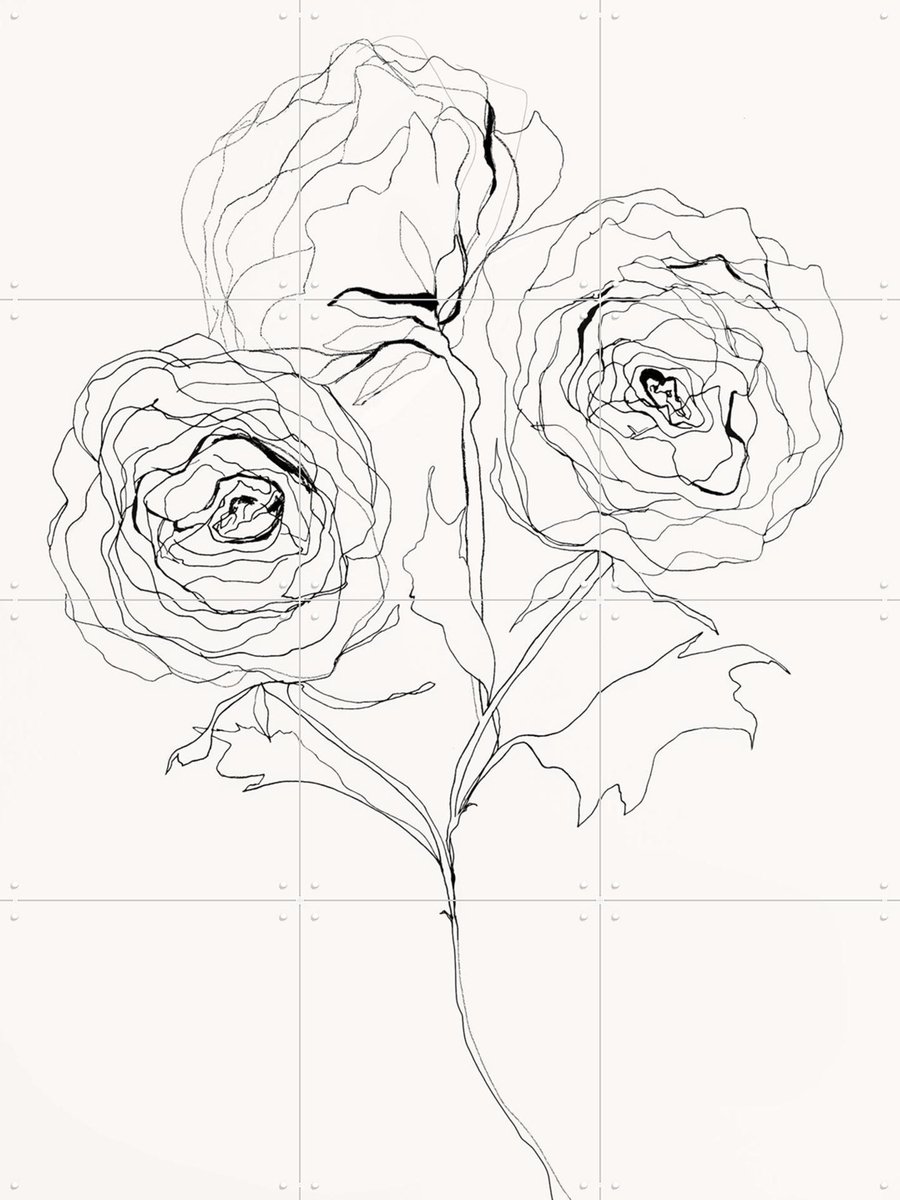 IXXI Ranunculus Study, Leigh Viner - 60 x 80 cm - Gratis ophangtool - Grote wanddecoratie en posters - Minimalisme, Grafisch Ontwerp, Illustraties