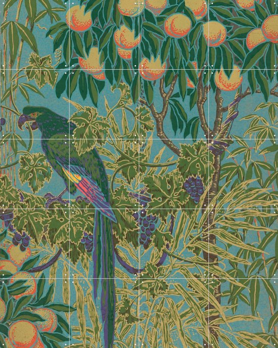 IXXI Macaw, Walter Crane & Victoria and Albert Museum - 80 x 100 cm - Grote wanddecoratie en posters - Klassiek, Illustraties, Kleurrijk, Art Nouveau