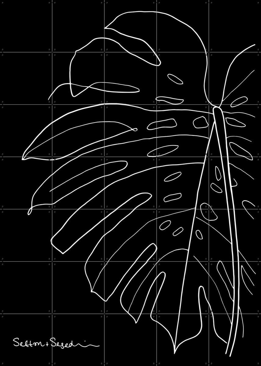 IXXI Monstera black, Sefton & Segedin - 100 x 140 cm - Gratis ophangtool - Grote wanddecoratie en posters - Line art, Illustraties, Grafisch Ontwerp