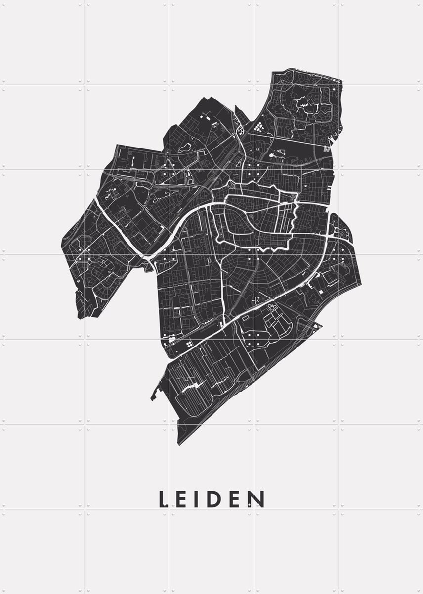 IXXI Leiden City Map, Kunst in Kaart - 100 x 140 cm - Gratis ophangtool - Grote wanddecoratie en posters - Technische Tekening, Grafisch Ontwerp, Line