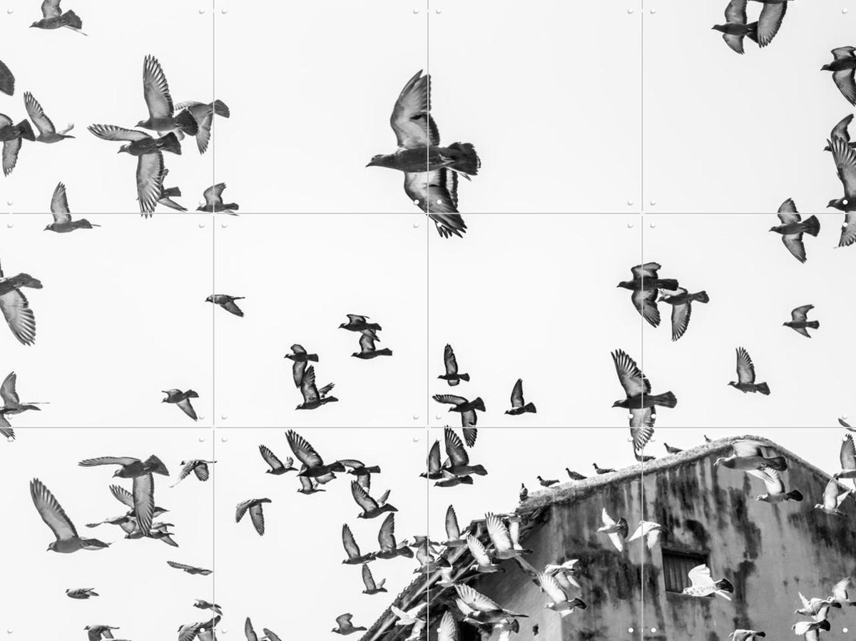 IXXI Birds in the Sky, Photolovers - 80 x 60 cm - Gratis ophangtool - Grote wanddecoratie en posters - Fotografie, Woonkamer, Slaapkamer, Natuur