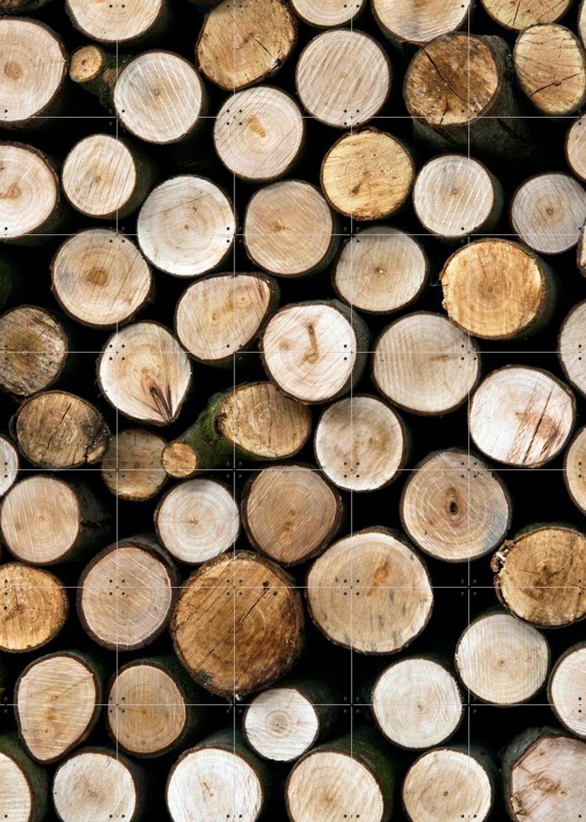 IXXI Wood, IXXI - 100 x 140 cm - Gratis ophangtool - Grote wanddecoratie en posters - Naturalisme, Fotografie, Slaapkamer, Eetkamer, Woonkamer