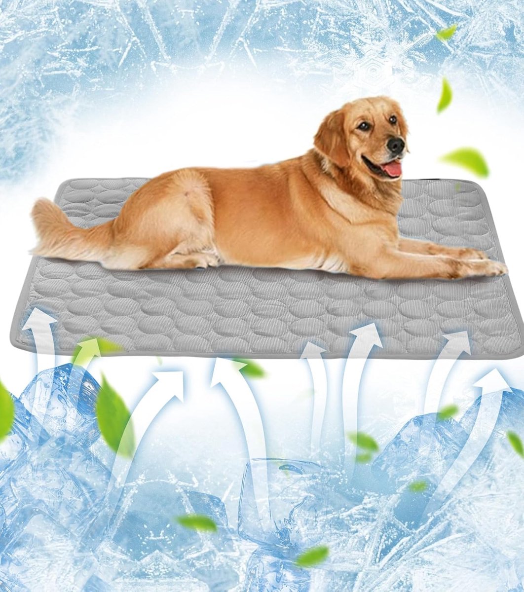 Koelmat voor Huisdieren - Zelfkoelend en Wasbaar - Voor Honden en Katten (Groot en Klein) - Formaat 60*50cm - Grijs - 1 Stuk