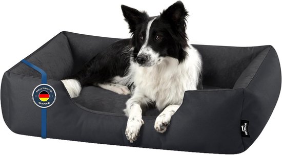 Welke gezonde en natuurlijke hondensnacks zijn goed voor je hond