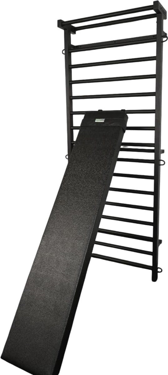 Fitness Glijplank - Gymnastiek Bank - Buikspiertraining - Bevestigbaar aan rek - 190x37 cm - Zwart
