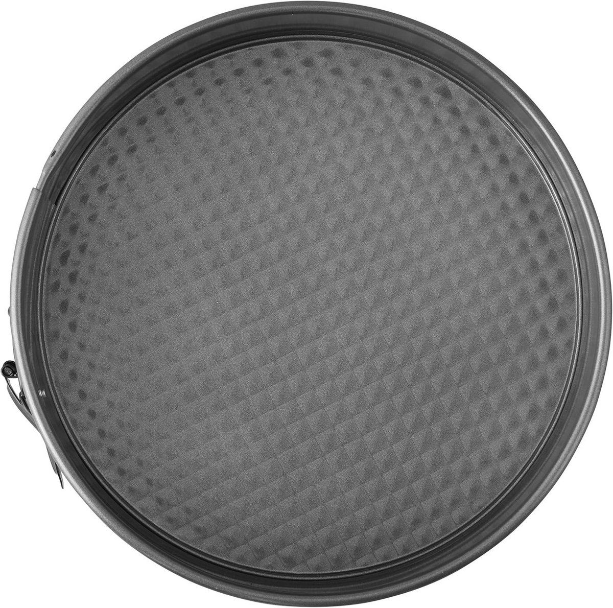 Ronde Springvorm 25 cm Antiaanbaklaag voor Taart, Cheesecake en Pizza