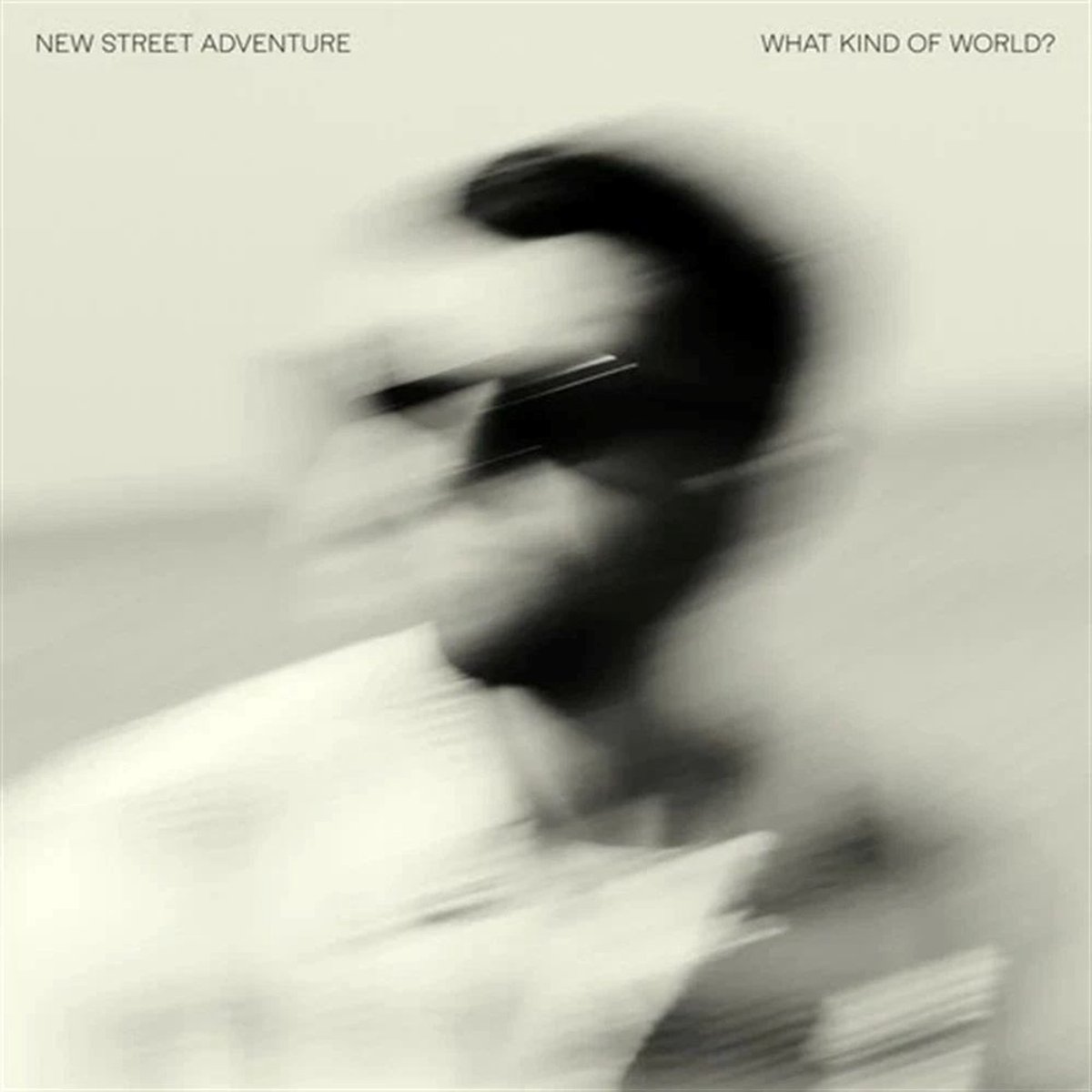 New Street Adventure Feat. Nick Cor - What Kind Of World (LP)
