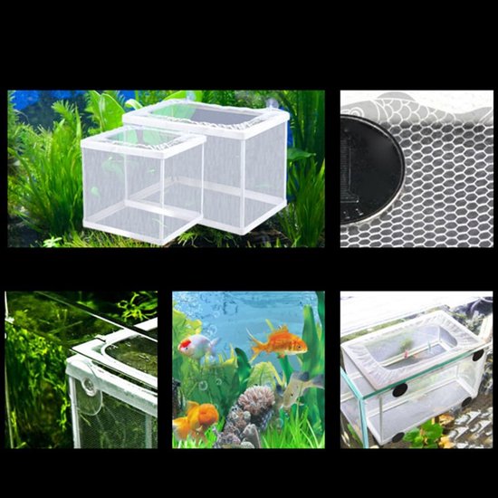 Broedbak Aquarium Scheidingsnet met Zuignappen voor Jonge Vis en Broed — afbeelding 5