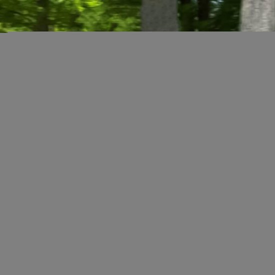 Compacte Koelbox - IJsemmer Draagbaar - Outdoor Avonturen - Robuuste Thermische Isolatie - 5 Liter Inhoud - Blauw Wit — afbeelding 5