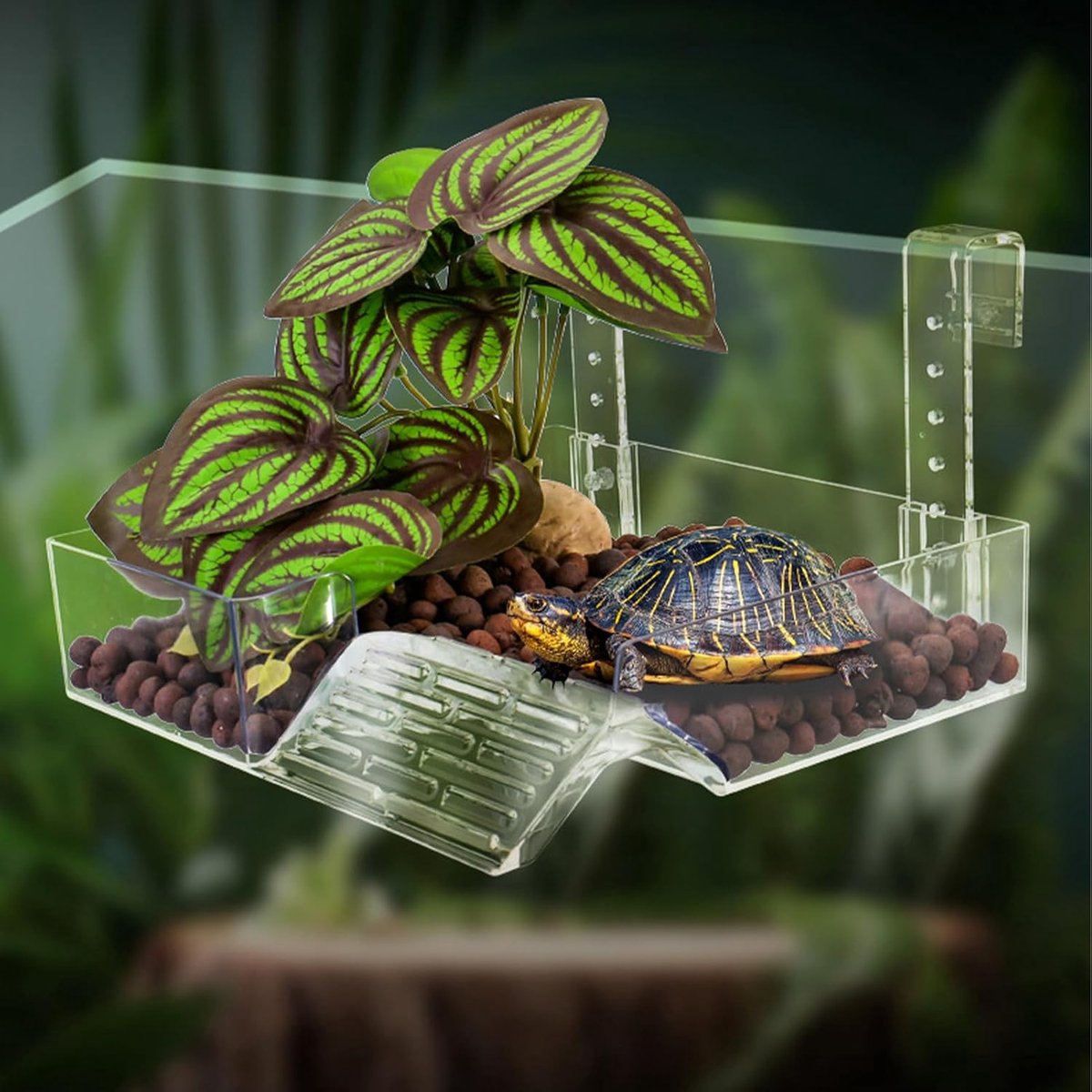 Drijvend Schildpaddenplateau - Zwemplateau Reptielen - Ontspannen voor Reptielen - Verstelbare Hoogte - 22.5 x 21 x 13.5 cm - Transparant