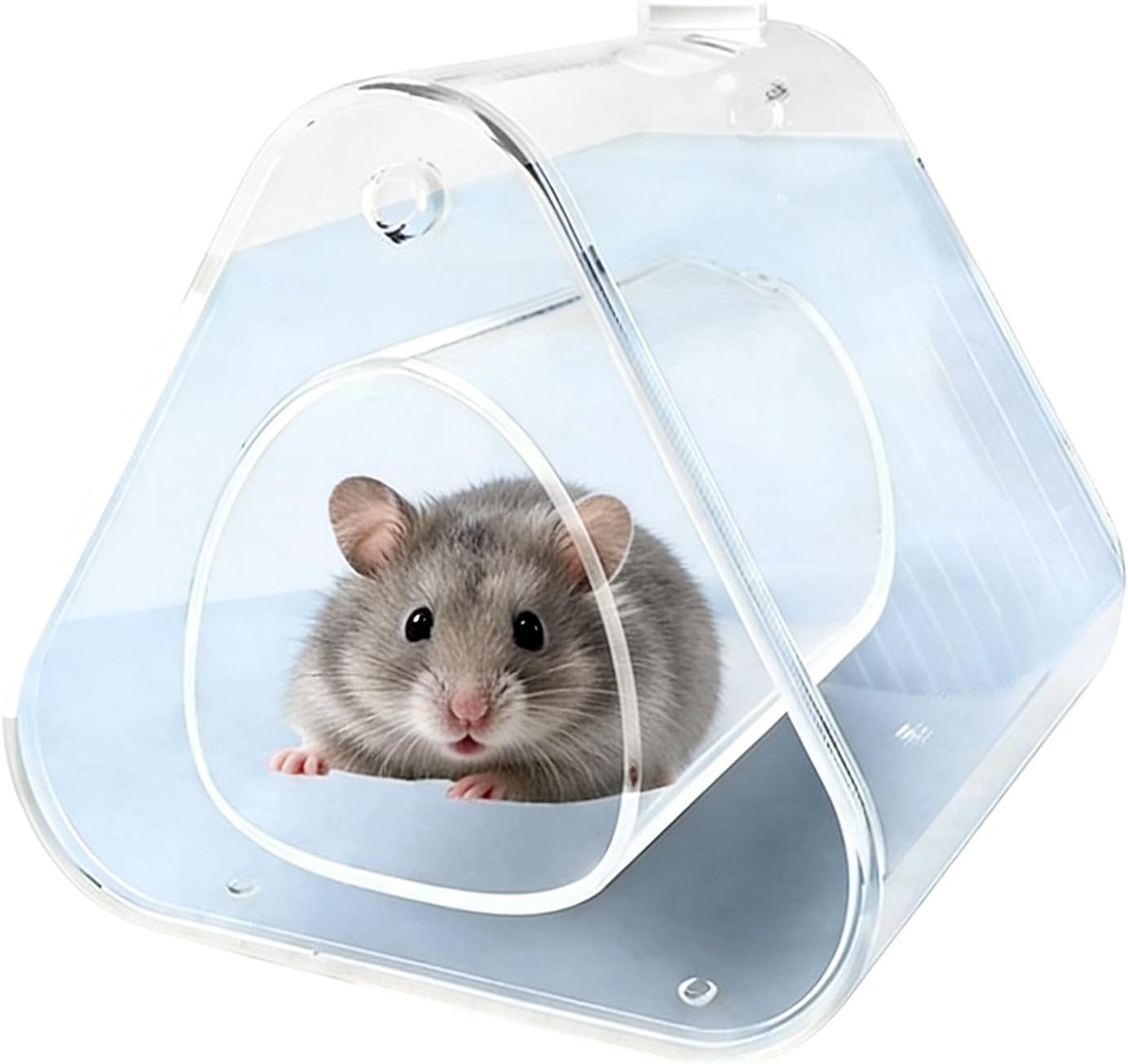 Hamster Koelhuis - Knaagdier Verblijf - Veilig Afkoelen - Volledig Transparant - 16 x 15 x 15 cm