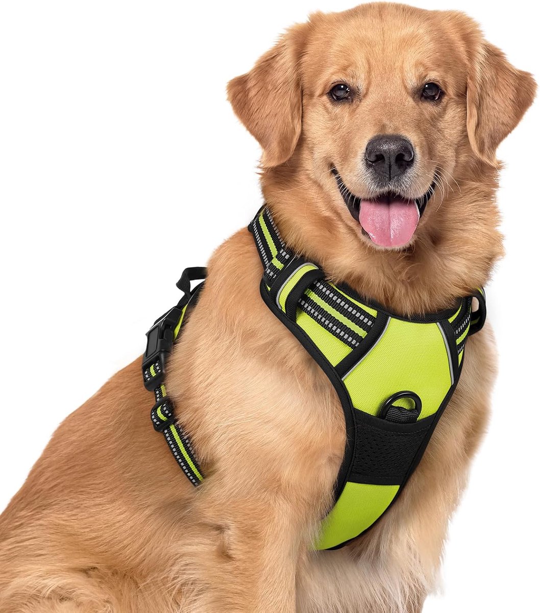 Hondenharnas Verstelbaar - Honden Tuigje - Veilig Wandelen - Verstikkingsbescherming - Grote Hond