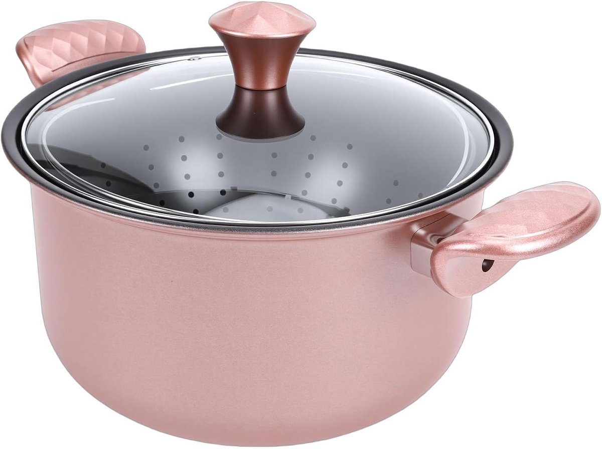 Roestvrijstalen Soeppan - Kookpot Stoofpot - Lange Maaltijden Bereiden - Met Deksel Filter - 26 Cm Diameter