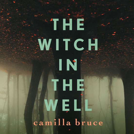 The Witch In The Well - cover
