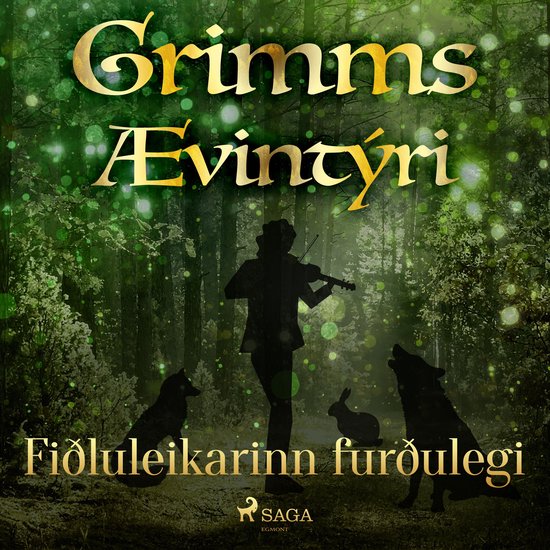 Fiðluleikarinn furðulegi - cover