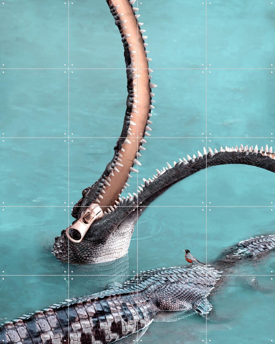IXXI Zip Your Lip, Julien Tabet - 80 x 100 cm - Gratis ophangtool - Grote wanddecoratie en posters - Fotografie, Wilde dieren