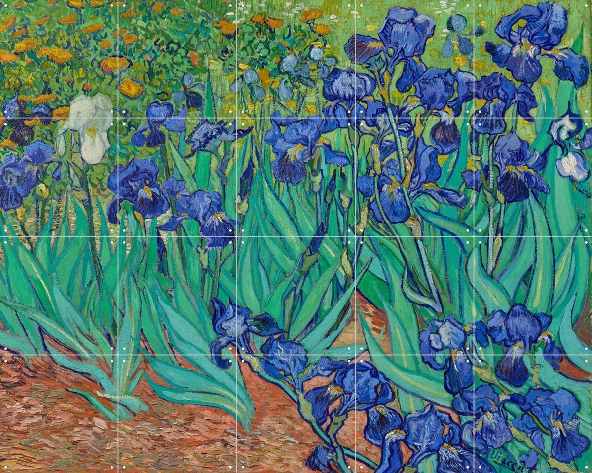 IXXI Irissen, Vincent van Gogh (1853 - 1890) - 100 x 80 cm - Gratis ophangtool - Grote wanddecoratie en posters Bloemen, Botanisch