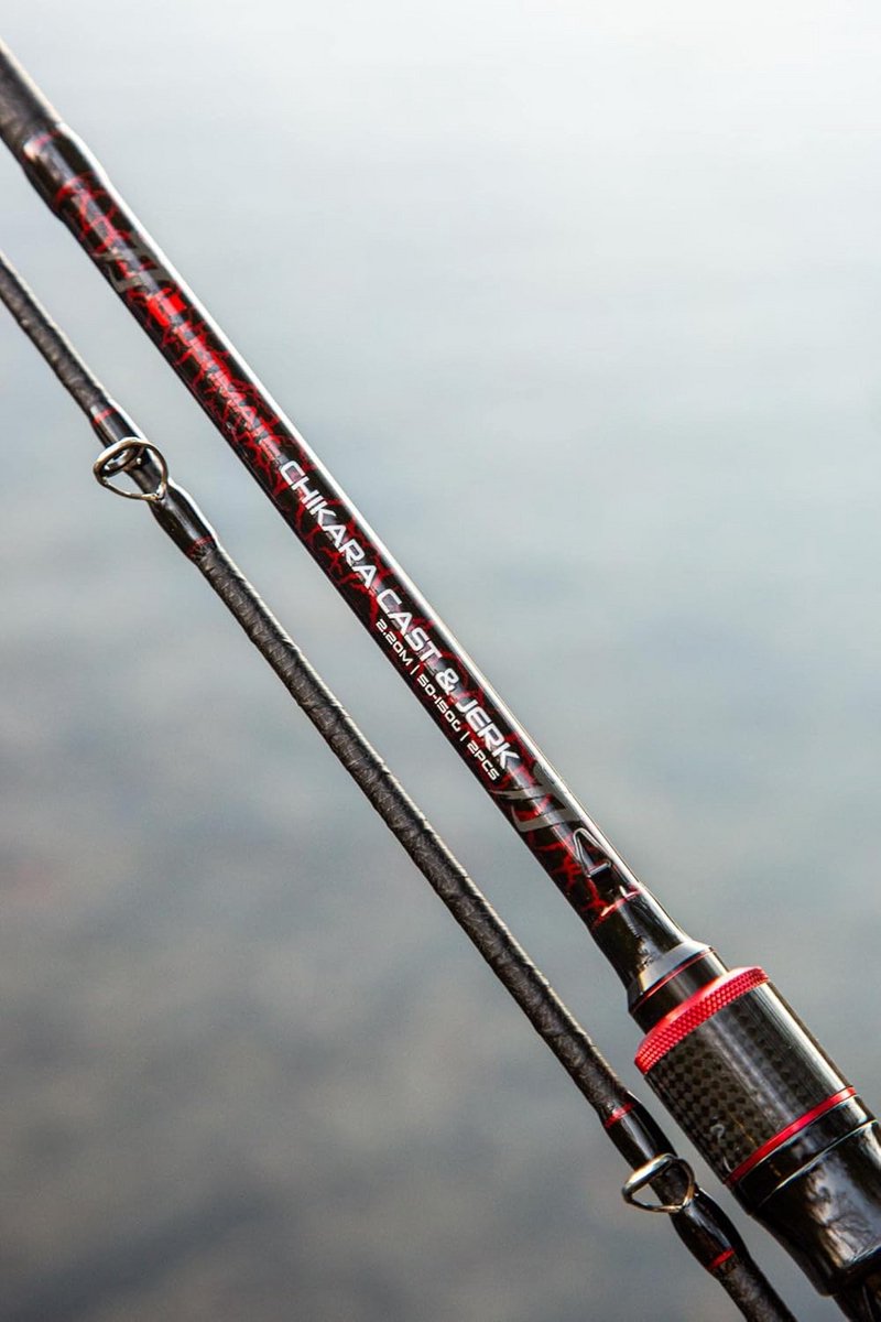Krachtige Baitcasting Hengel 2,20m 50-150g voor Zware Kunstaas en Snoek