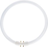 Philips MASTER TL5C Circulair 22W - 830 Warm Wit | 22cm