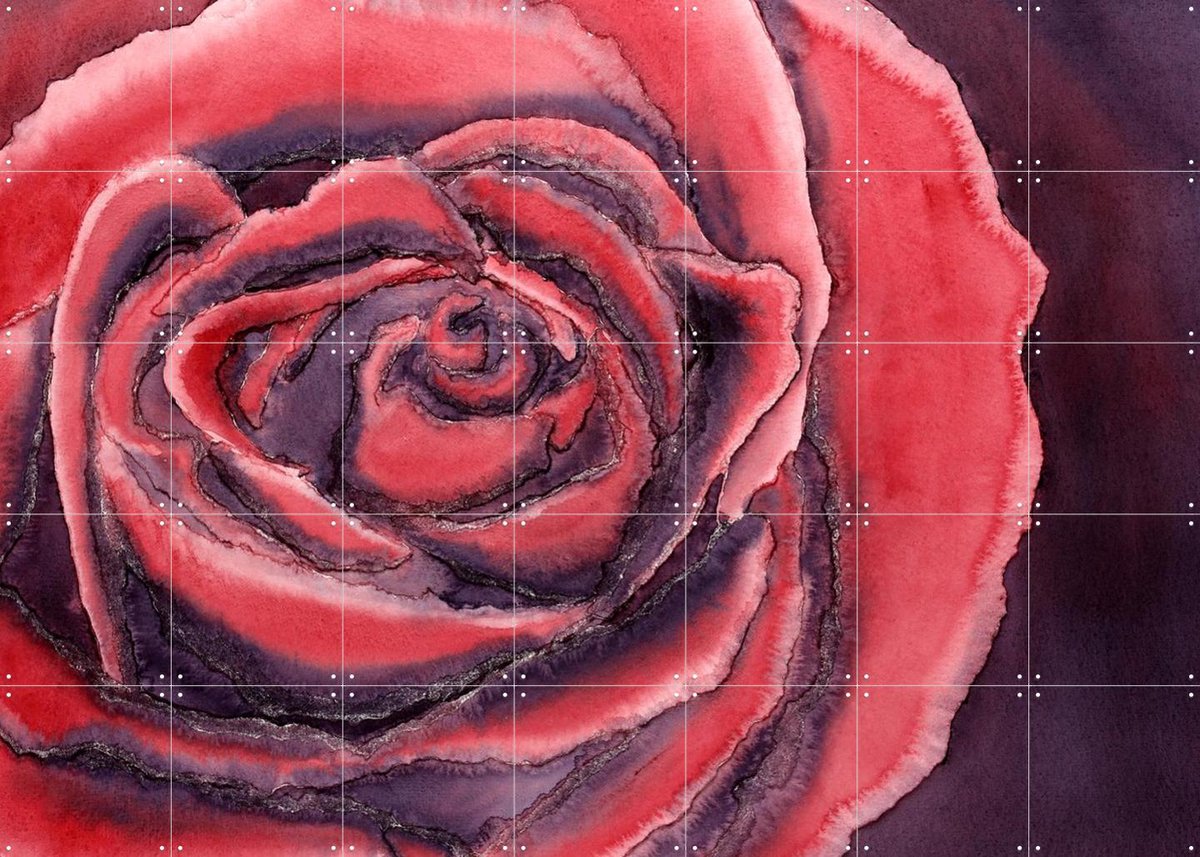IXXI Red Rose, Natalie Bruns - 140 x 100 cm - Gratis ophangtool - Grote wanddecoratie en posters - Aquarel, Kleurrijk, Eetkamer, Slaapkamer