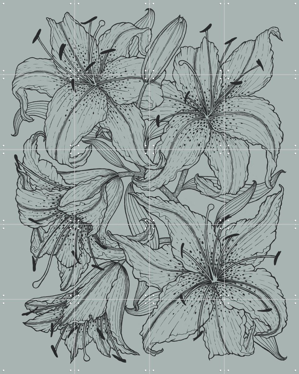 IXXI Lilies Green, Geertje Aalders - 80 x 100 cm - Gratis ophangtool - Grote wanddecoratie en posters - Line art, Illustraties, Woonkamer, Slaapkamer