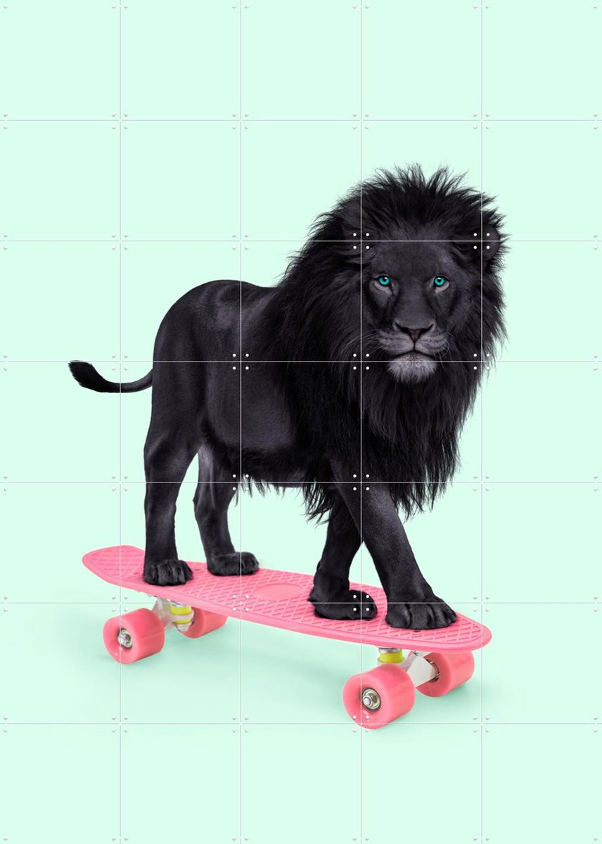 IXXI Skate Lion, Paul Fuentes - 100 x 140 cm - Gratis ophangtool - Grote wanddecoratie en posters - Kleurrijk, Speels, Fotografie, Kinderkamer, Wilde