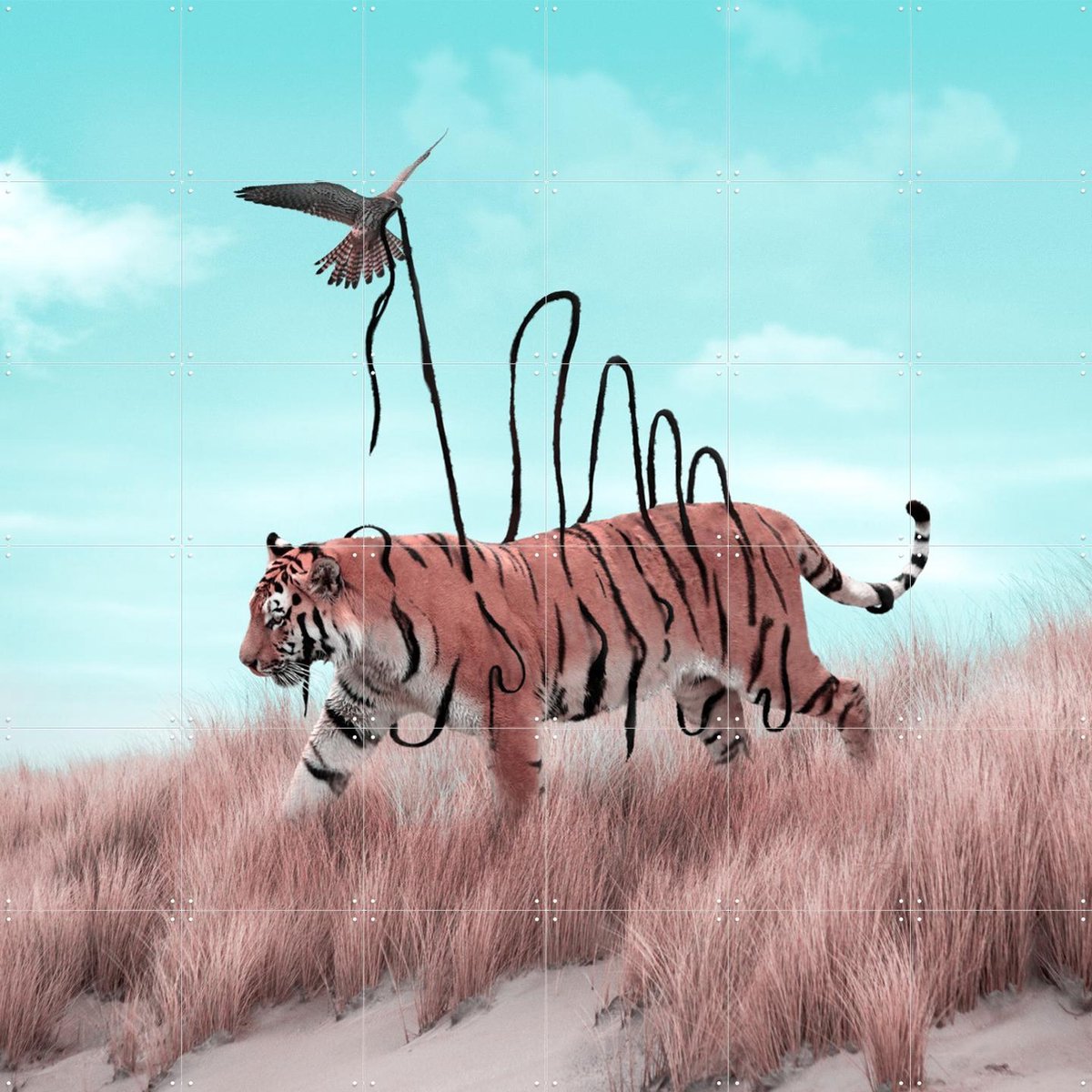 IXXI Dexterity, Julien Tabet - 120 x 120 cm - Gratis ophangtool - Grote wanddecoratie en posters - Fotografie, Speels, Wilde dieren, Natuur