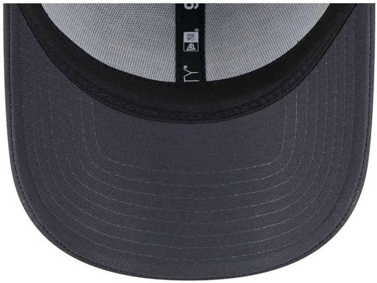 NBA Lakers Metallic Pet - Verstelbare Sportpet