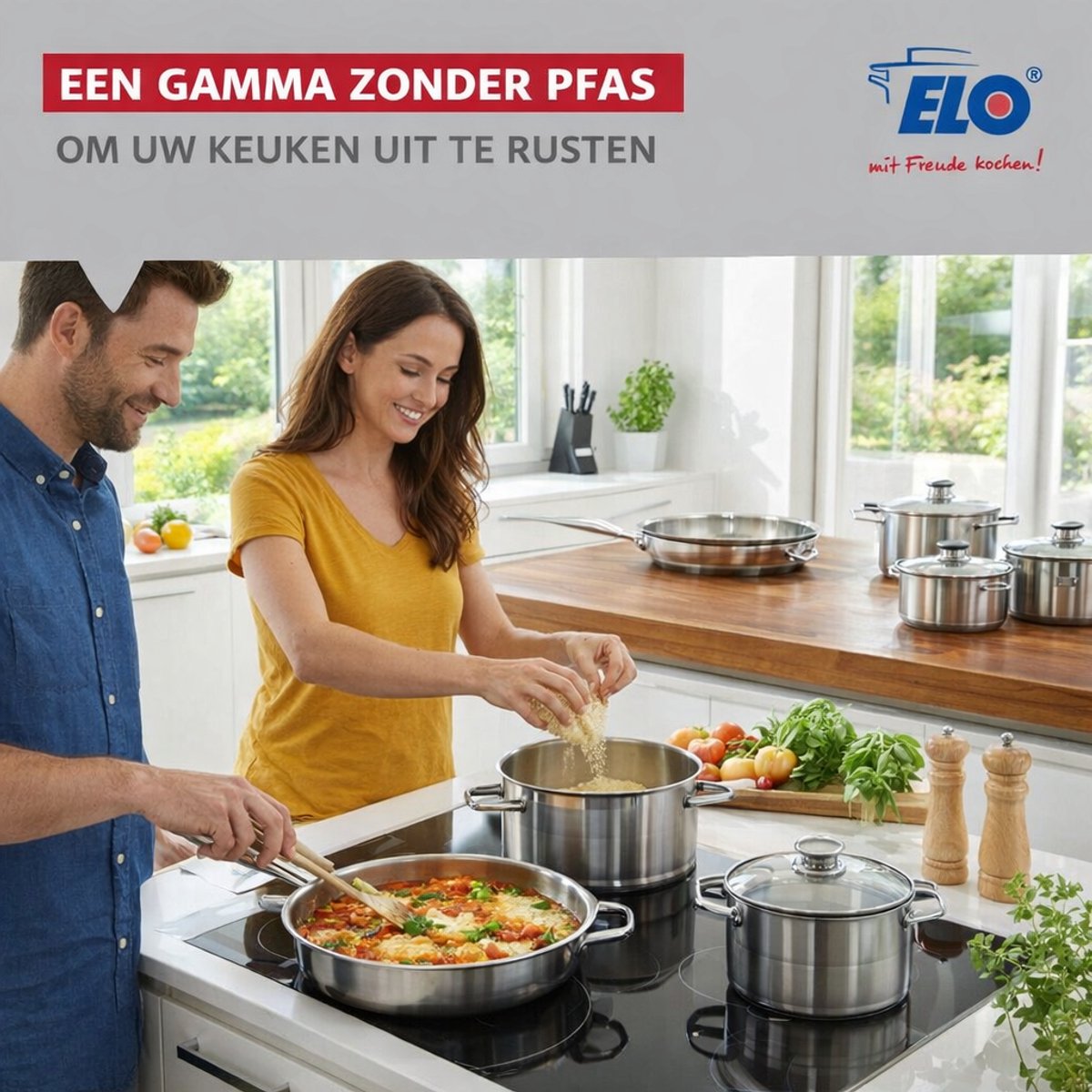 Set van 3 Koekenpannen 24, 28 en 32 cm en 2 kookpotten 20 en 24 cm Elo Profi Brillant