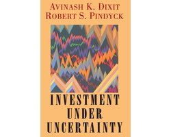 Omslag van Investment Under Uncertainty